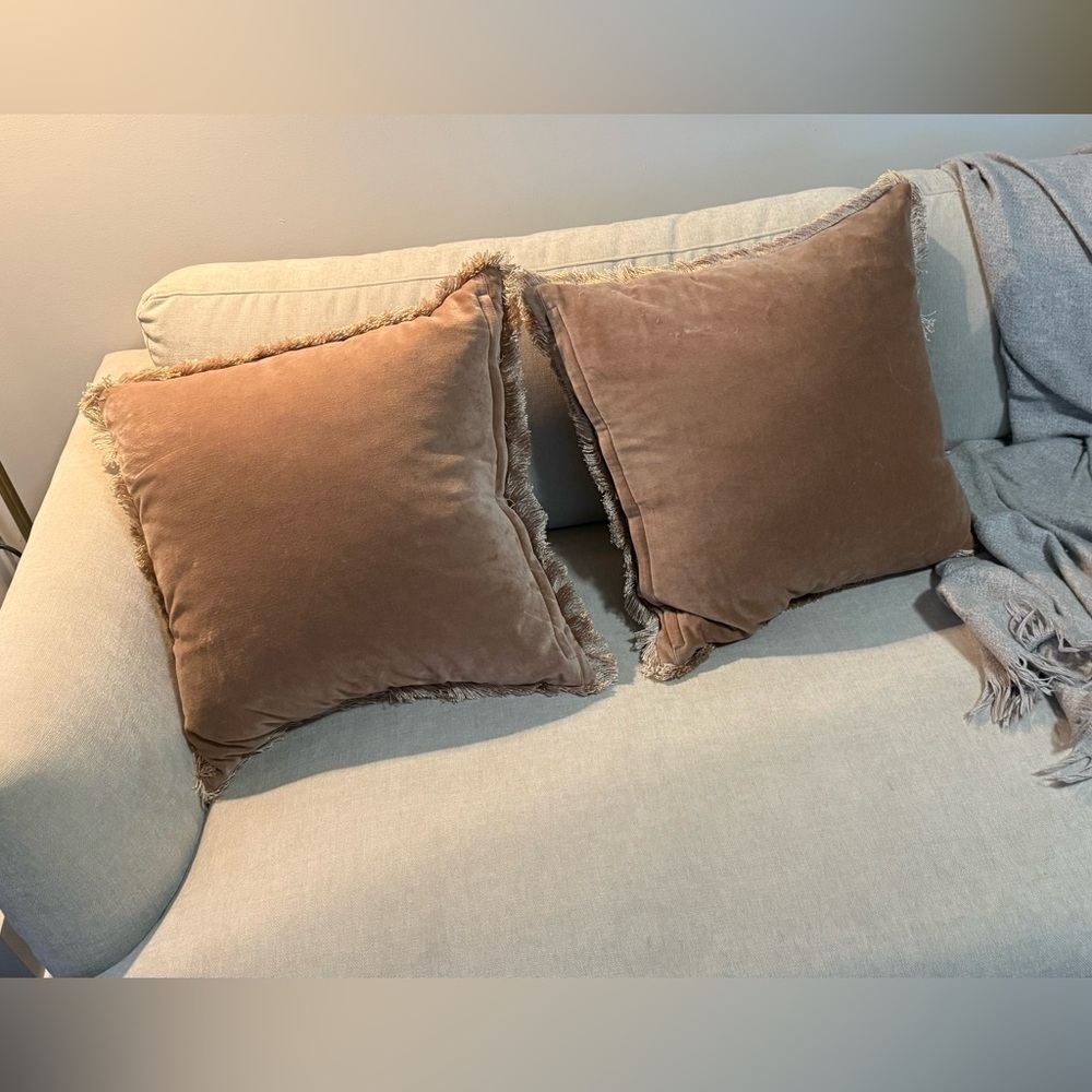 CB2 Velvet Brown Accent Pillows